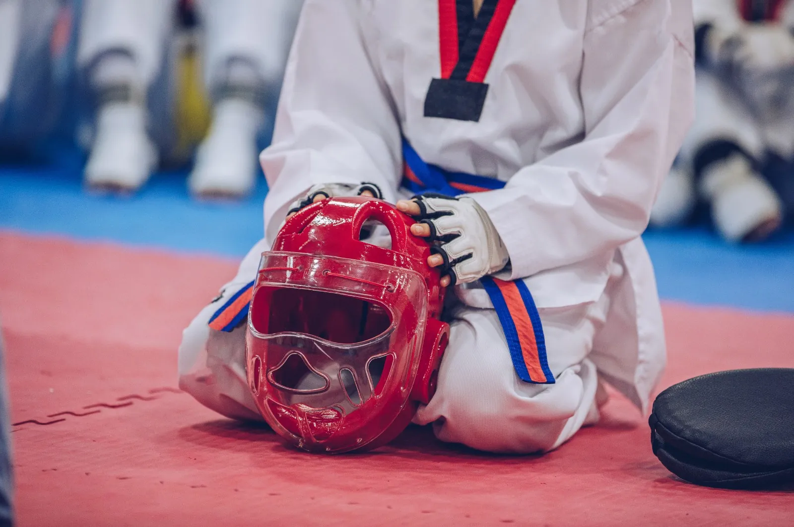 Taekwondo self-defense training at Grandmaster Lee's Taekwondo